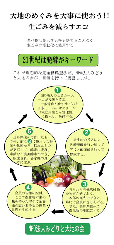 発酵食品が出来るまでのサイクル